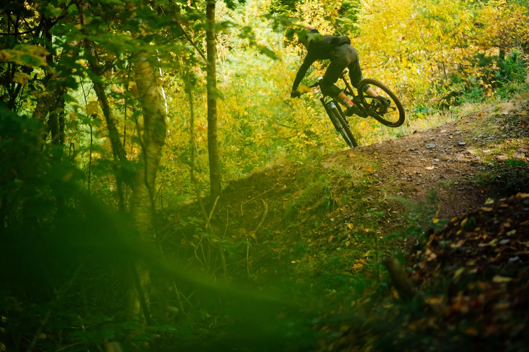 Mountain biking on a forest trail in the foothills