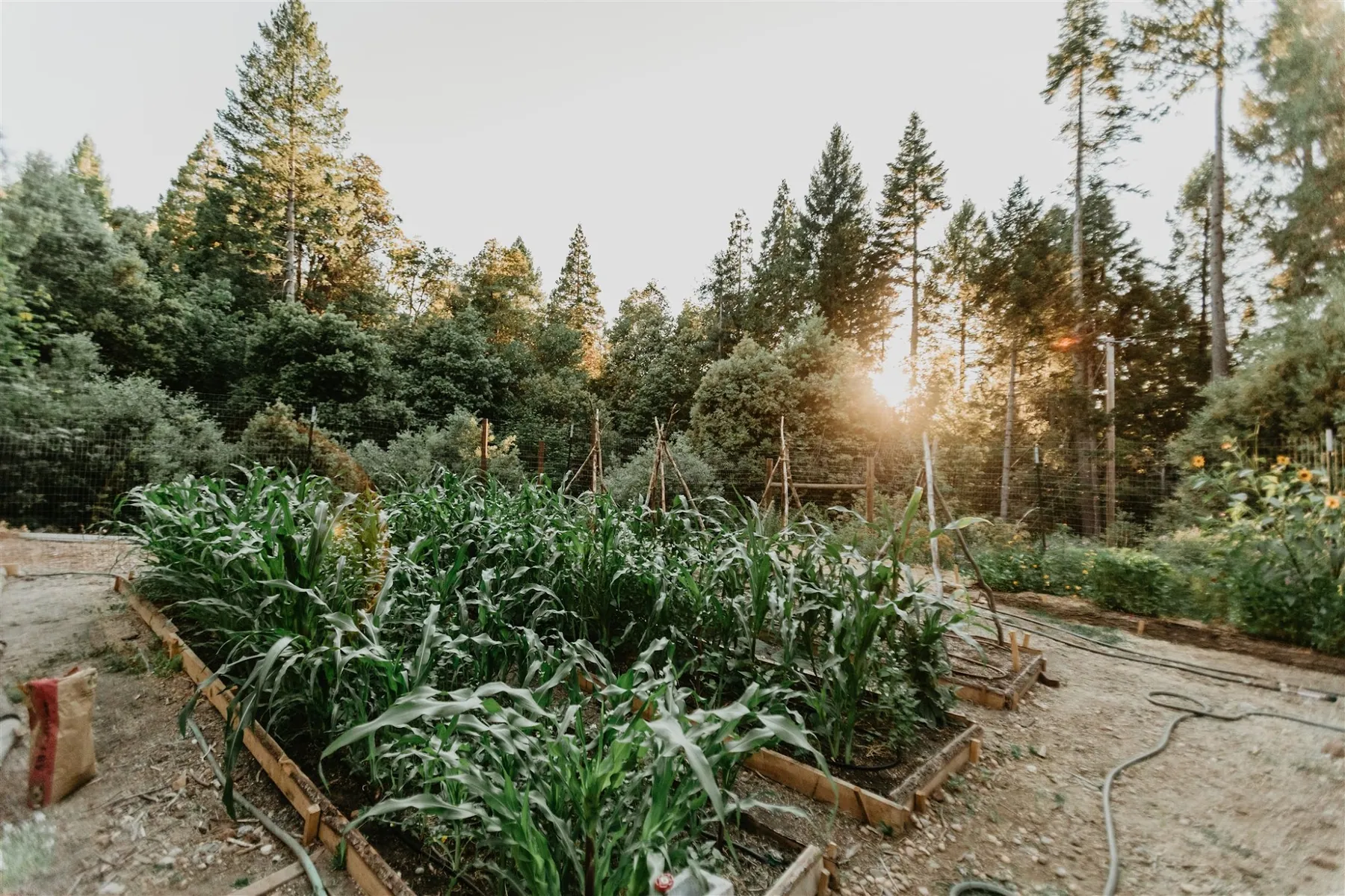 The regenerative farm