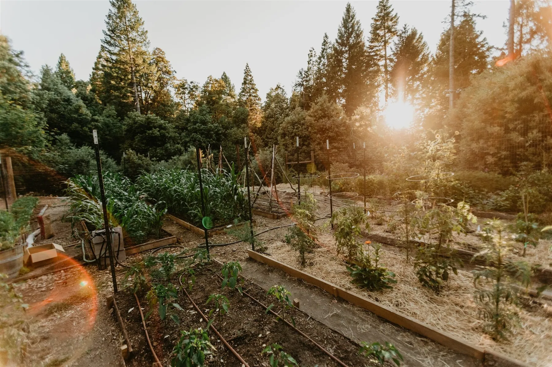 Farm and ranch