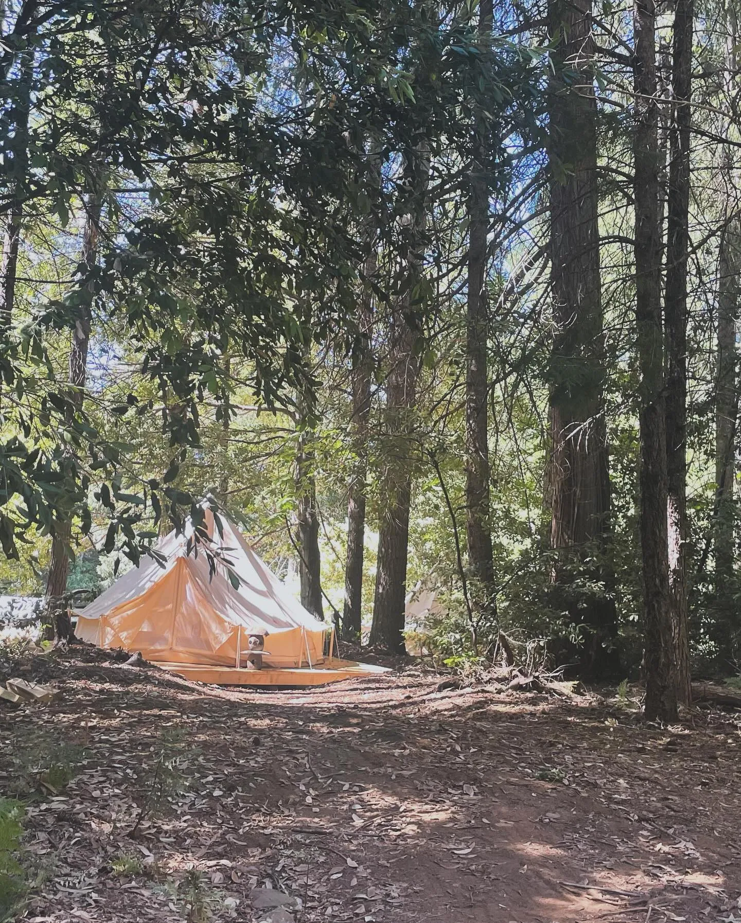 Glamping tent
